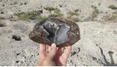 Thunderegg or Geode? How to Tell Them Apart