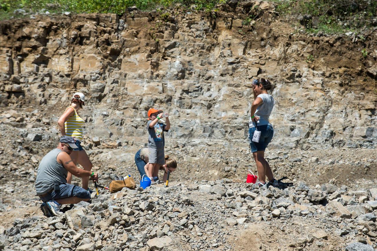 Best Rockhounding Sites for Families in the US: A Guide to Finding Gems and Minerals