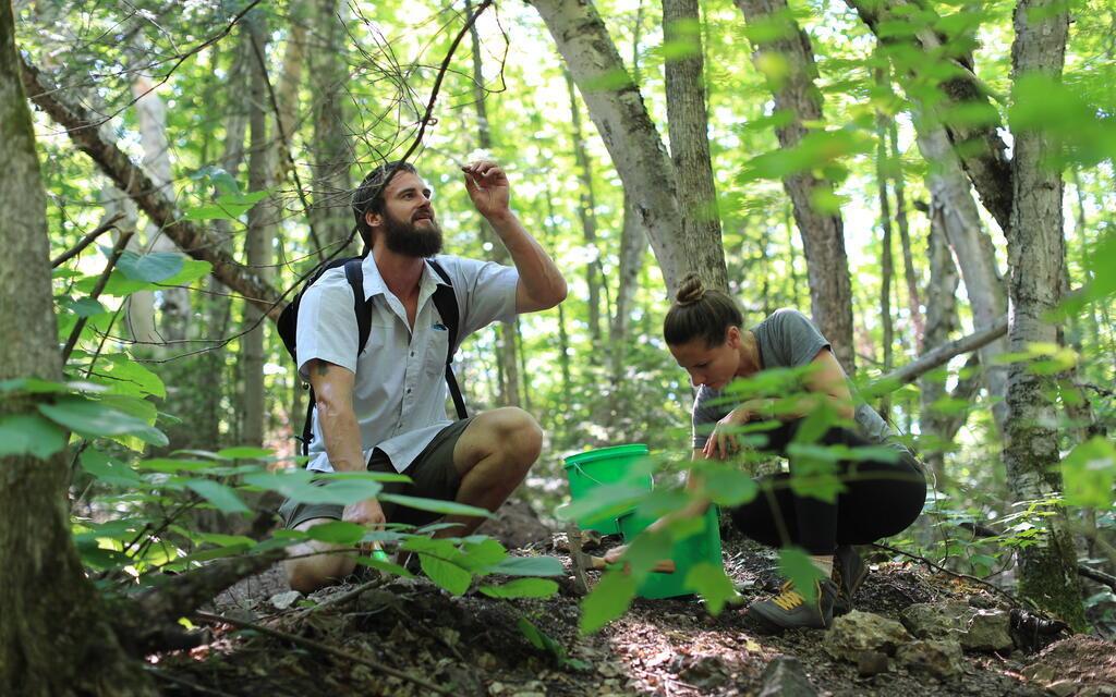 How to Identify Minerals and Rocks: A Comprehensive Guide for Rockhounding Enthusiasts