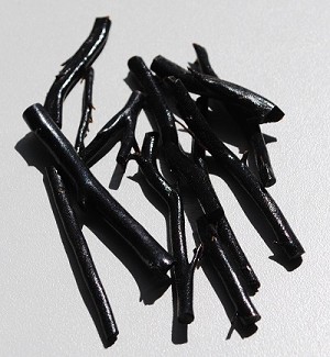 A sample of a black coral