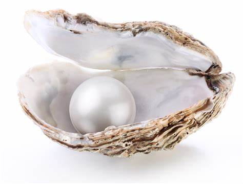 June Birthstone Pearl
