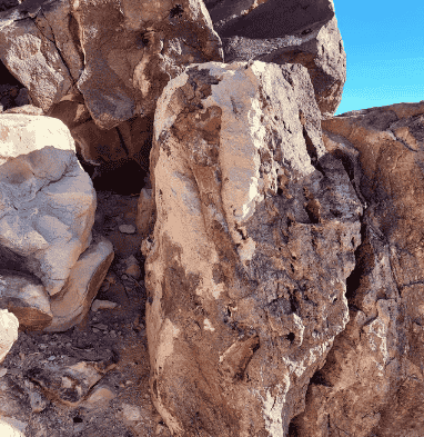 Dinosaur Bone Latest Find