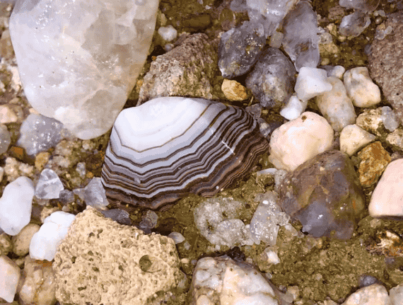 Fairburn Agate Latest Find