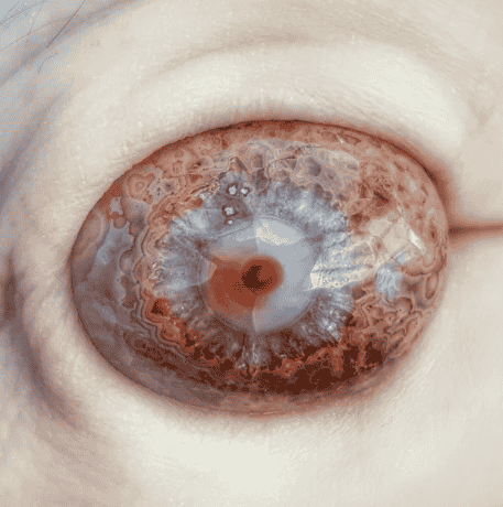 Iris Agate Latest Find