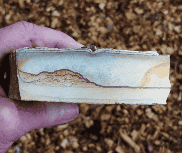 Picture Jasper Latest Find