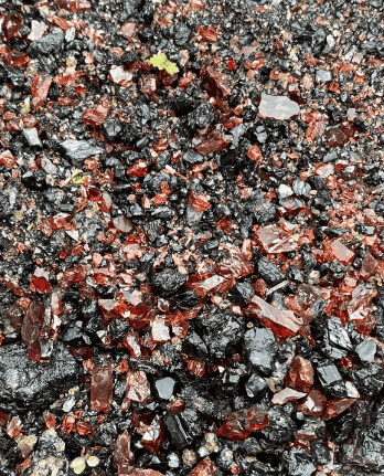 Red Garnets Everywhere Latest Find