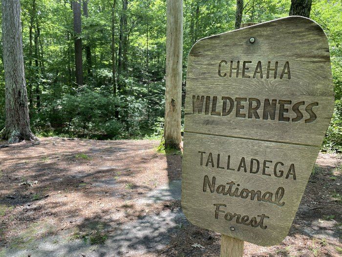 Cheaha Wilderness