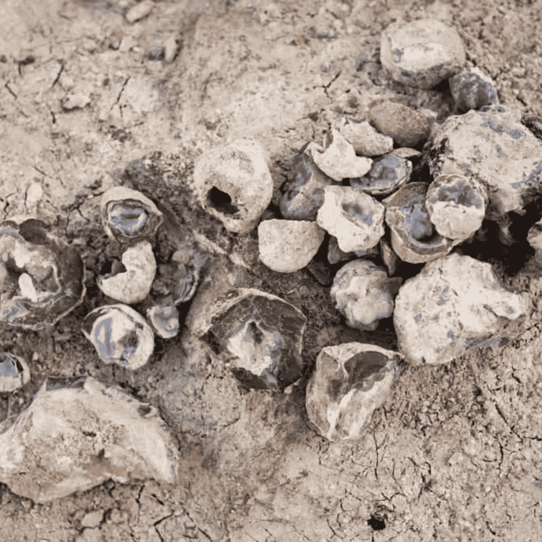 Dugway Geode Beds