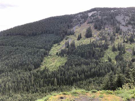 The Hansen Creek Mountain