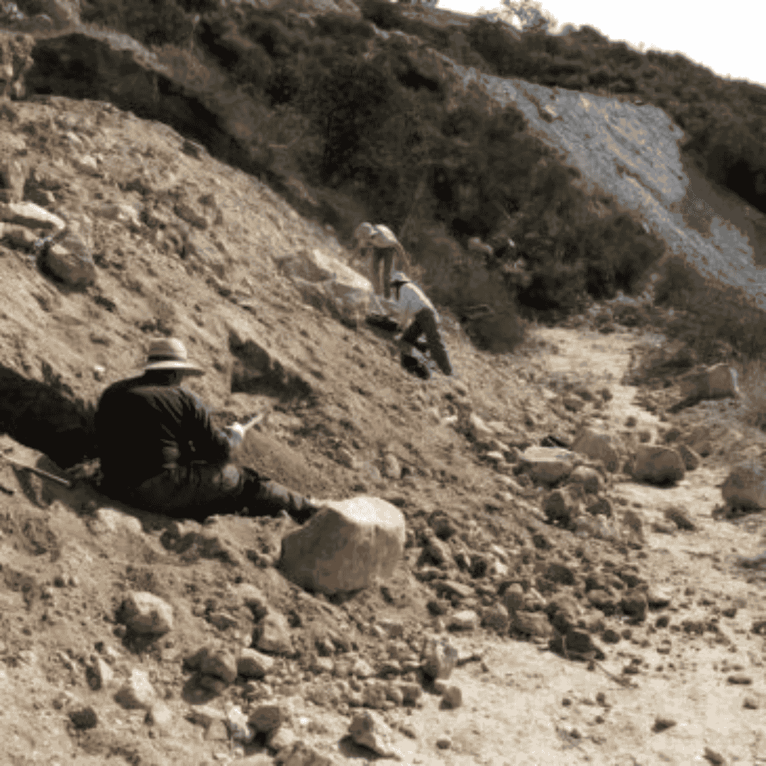 Pala Chief Mine