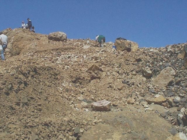 Rockhounding in Walker Valley